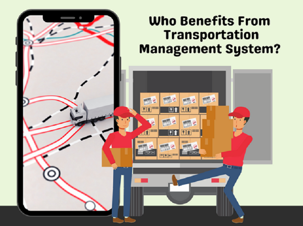    A Single Dashboard Solution: How Can TMS Improve Business Efficiency