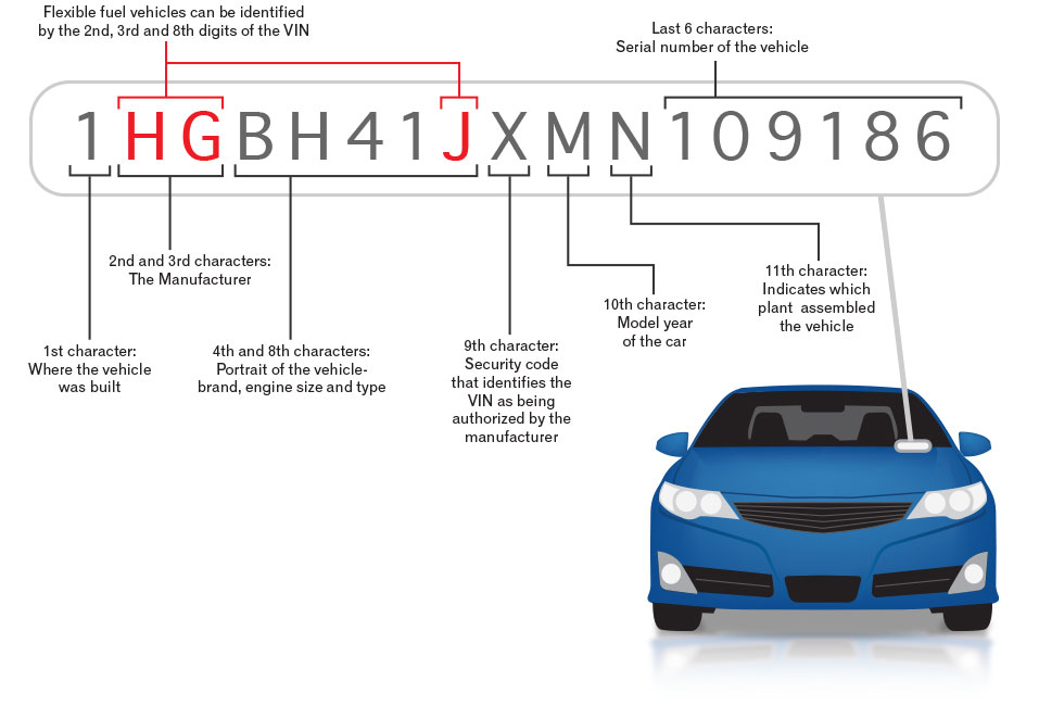 Look Up VIN: Everything You Need to Know