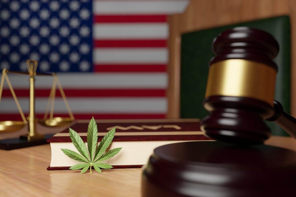 Marijuana Possession Lawyer: Your Guide to Legal Defense