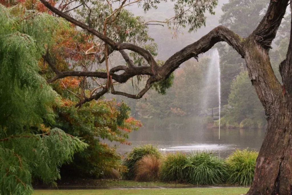 The Complete Guide to Mechanic in Mittagong